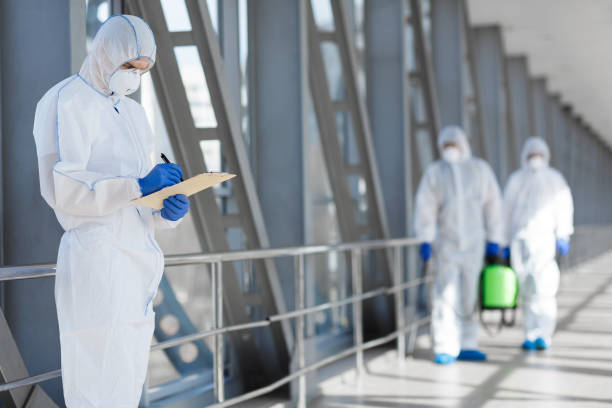Mold Documentation for Insurance Claims in Rutherfordton, NC