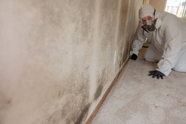 Biohazard Mold Removal in Rutherfordton, NC